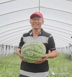 寺寺娱乐吃瓜