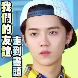 娱乐圈吃瓜真假